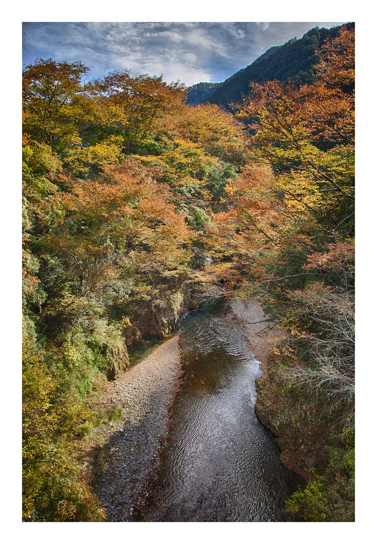 Under the autumn sky 3