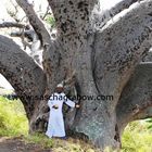 Under The Baobab Tree