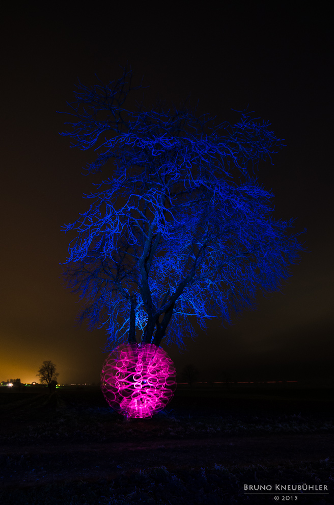 Under the blue tree