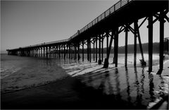 Under the Boardwalk (1)