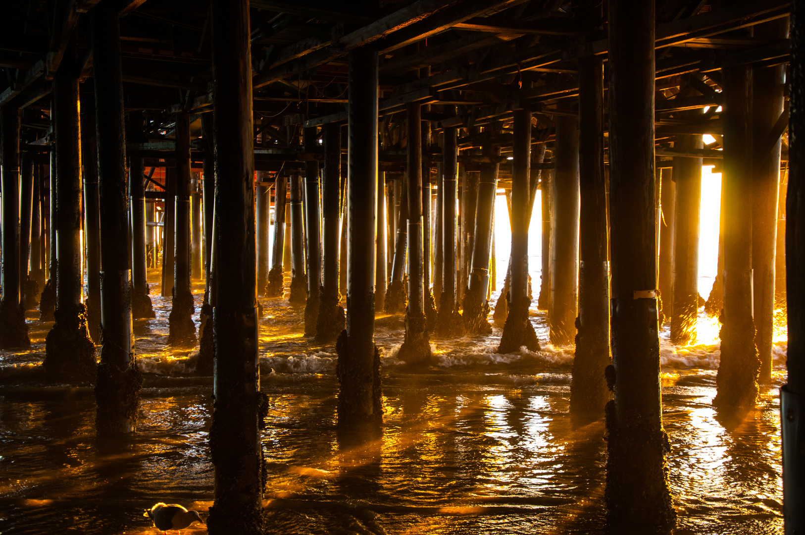 Under the boardwalk