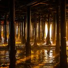 Under the boardwalk