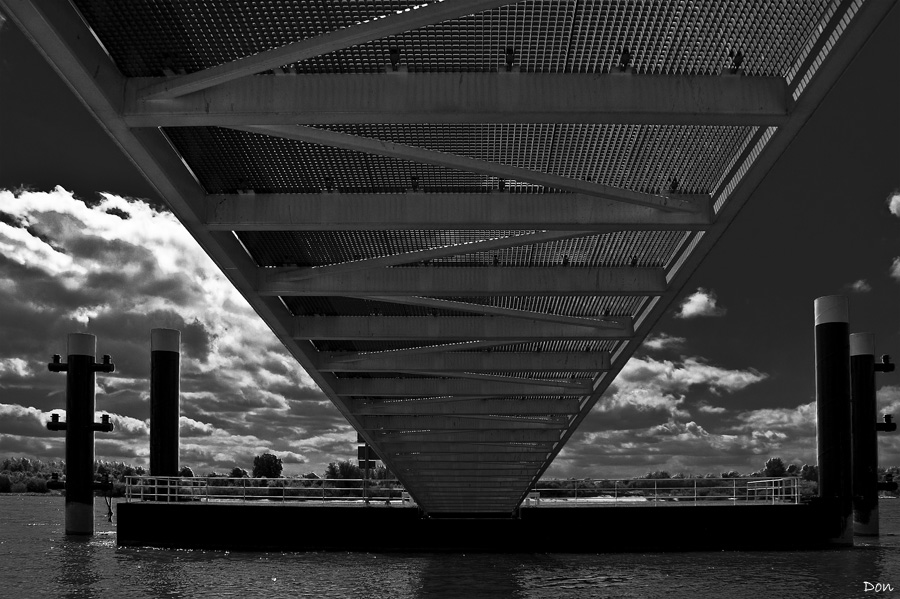 Under the boardwalk