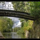 under the bridge