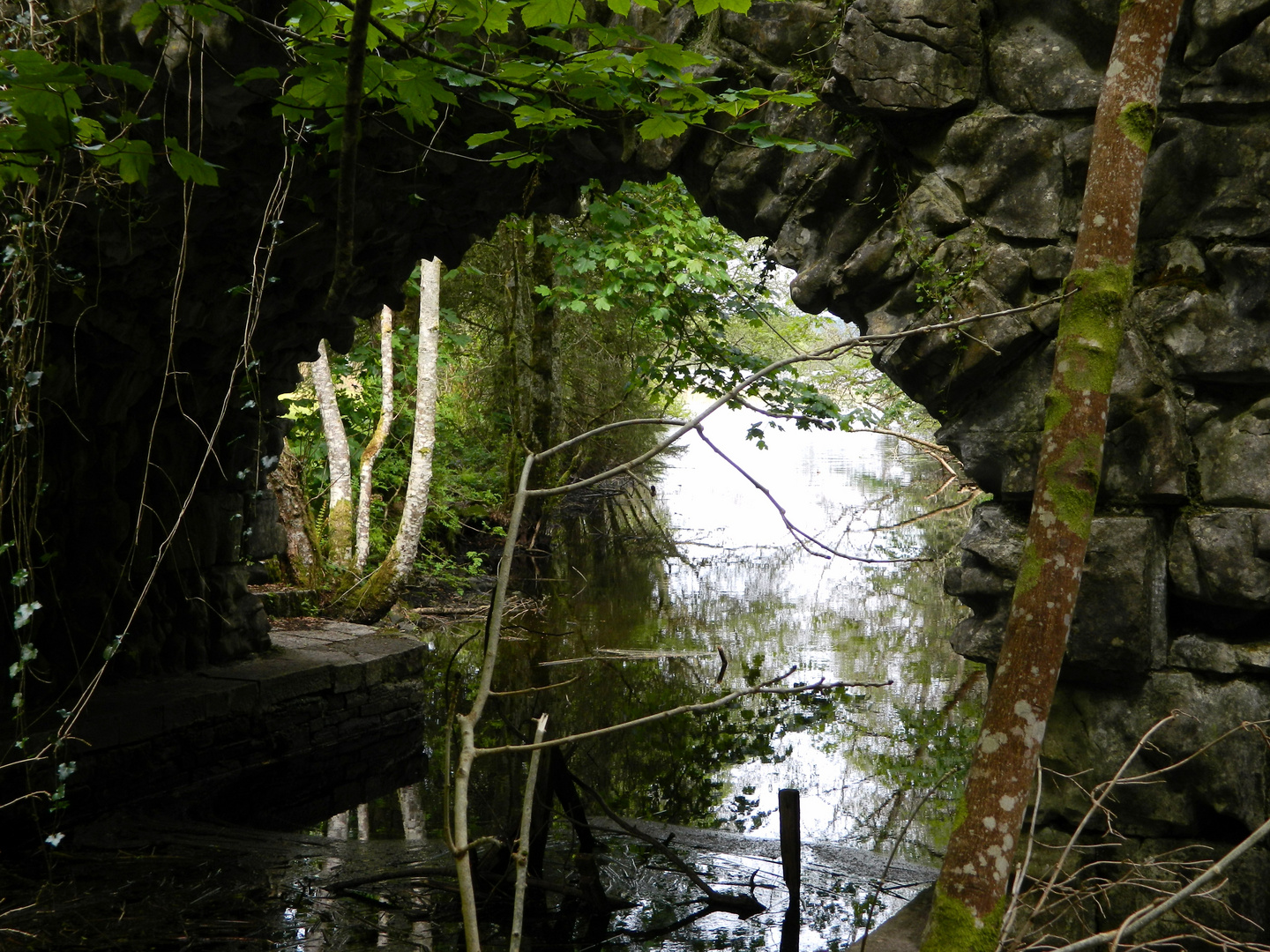 under the bridge