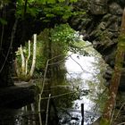 under the bridge