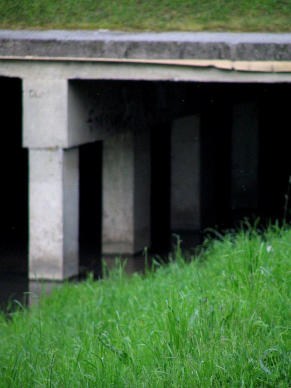 under the bridge