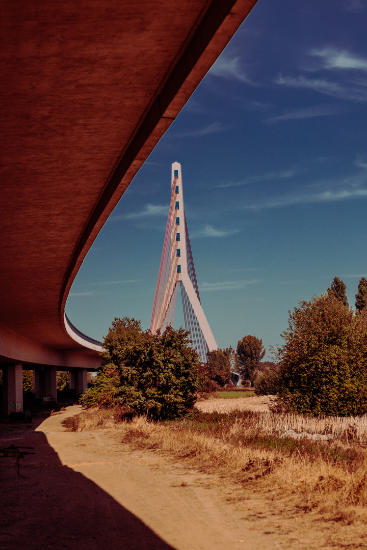 under the bridge