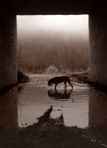 under the bridge