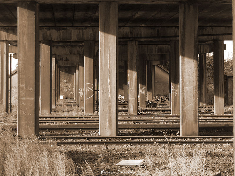 under the bridge