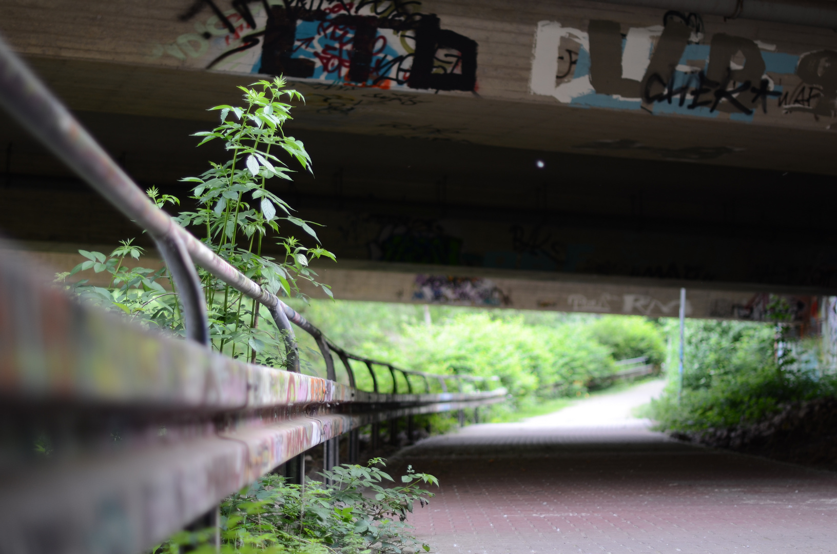 Under the bridge