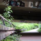 Under the bridge