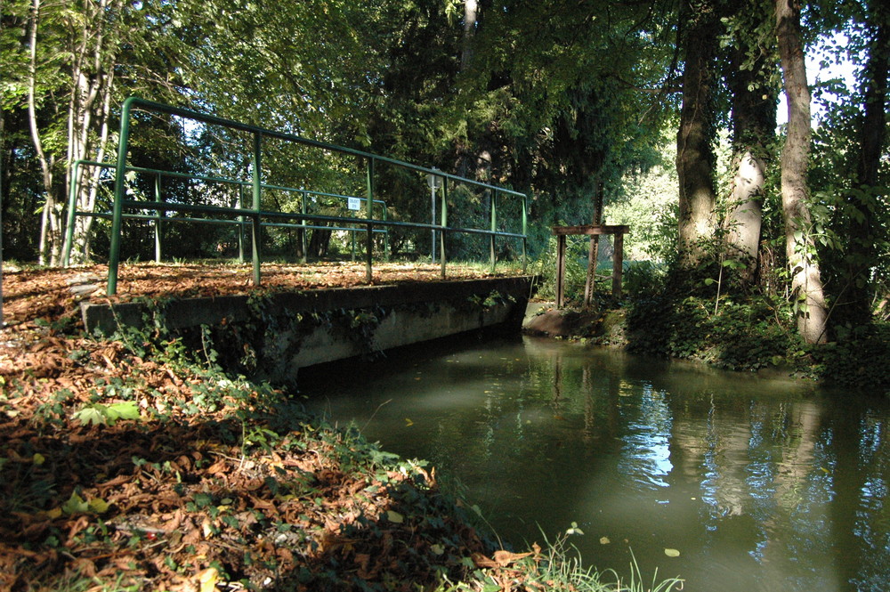 Under the Bridge