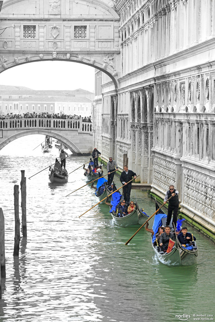 under the bridge