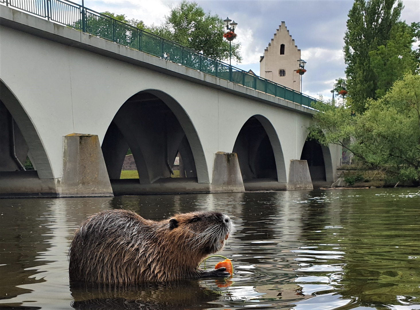 ...under the Bridge