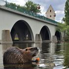 ...under the Bridge