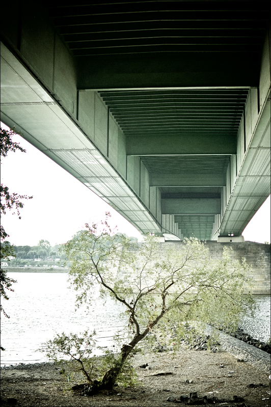 under the Bridge