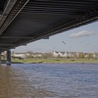 under the bridge