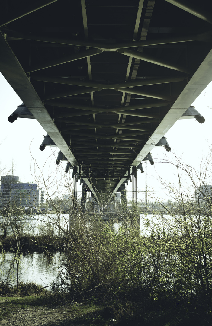 Under the Bridge