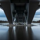 Under the Bridge