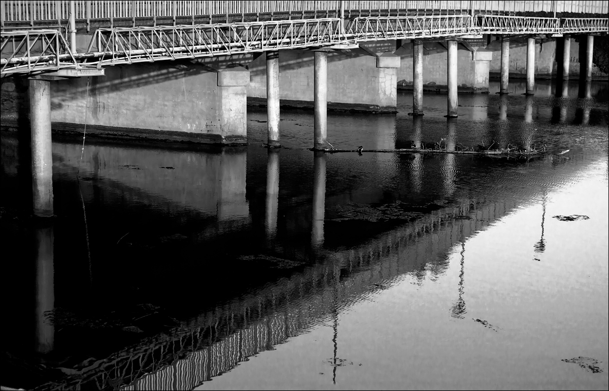 Under the Bridge