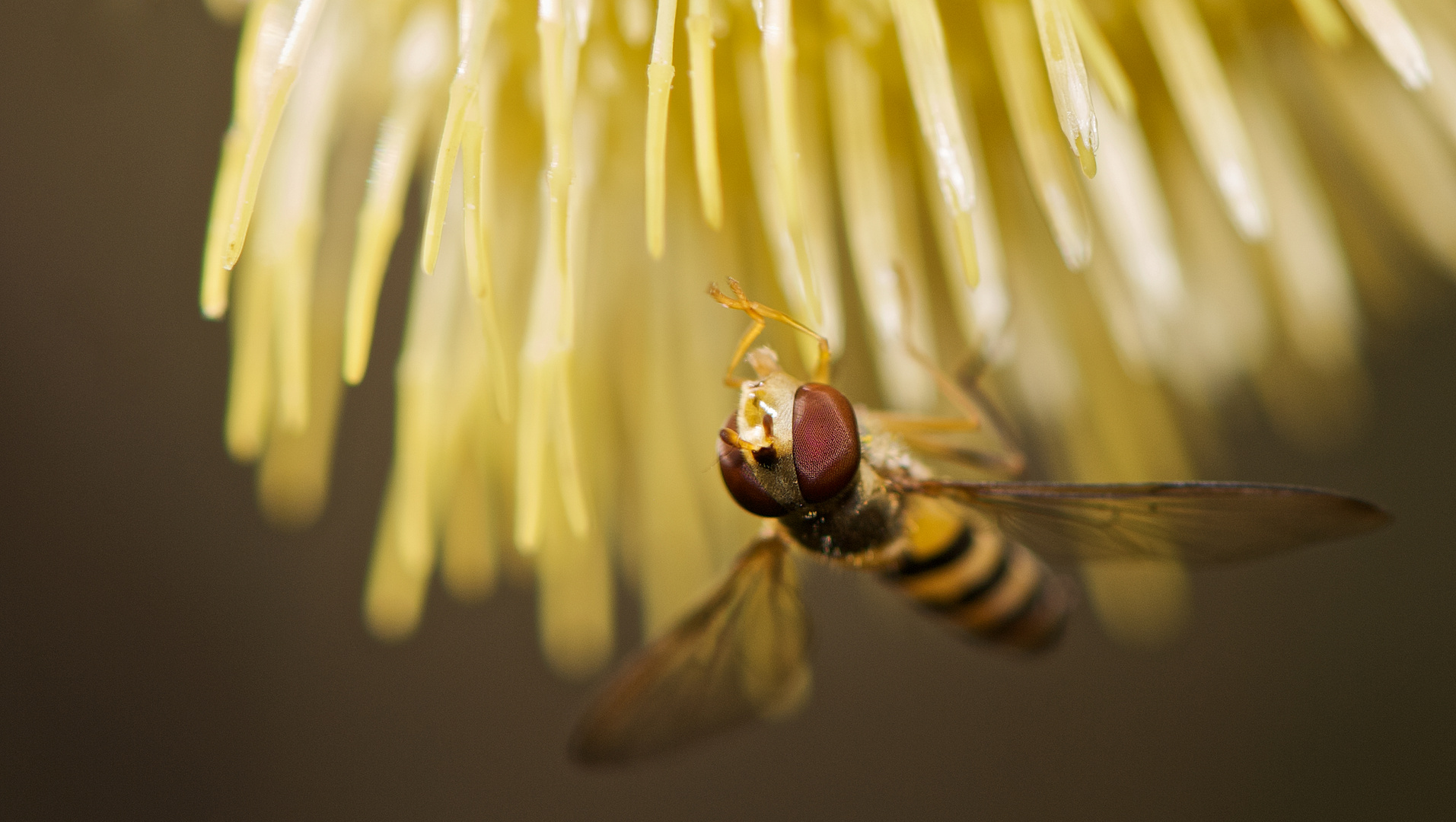 Under the flower