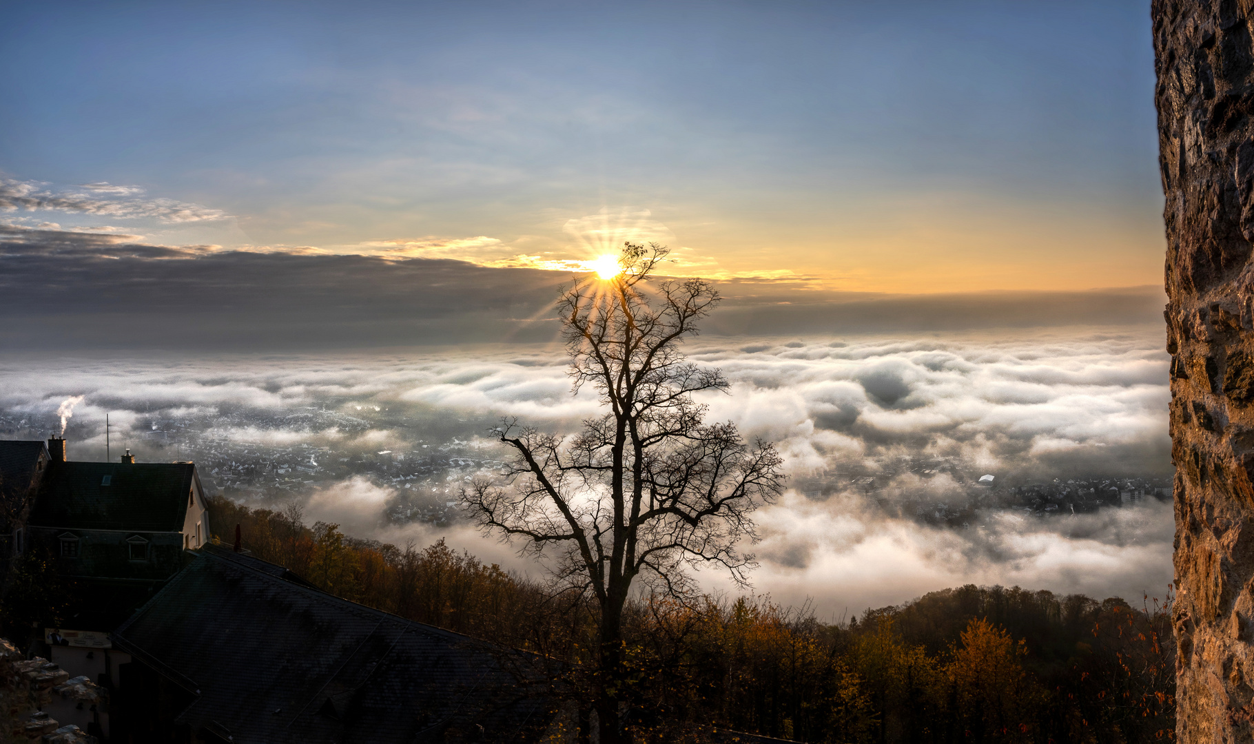 under the fog