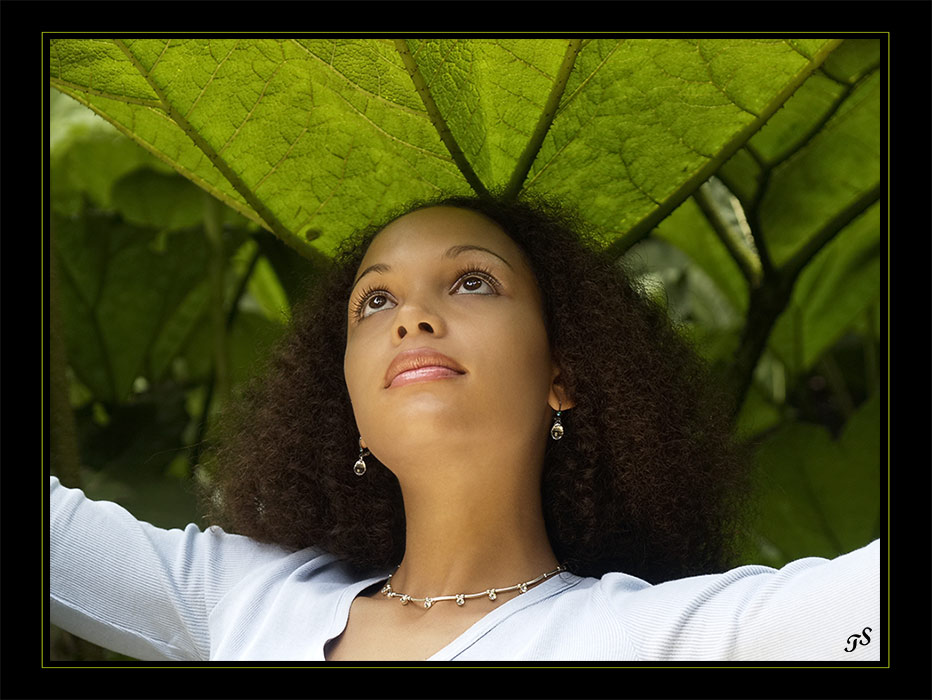 Under the green tree