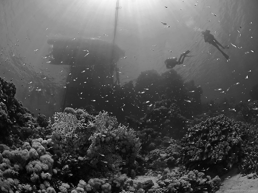 under the jetty