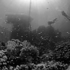 under the jetty