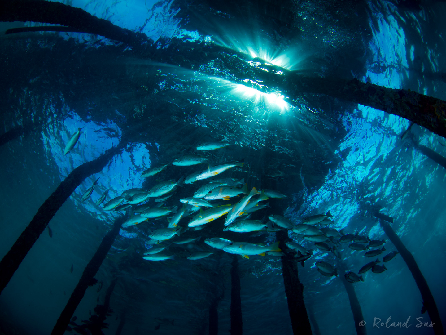 under the jetty