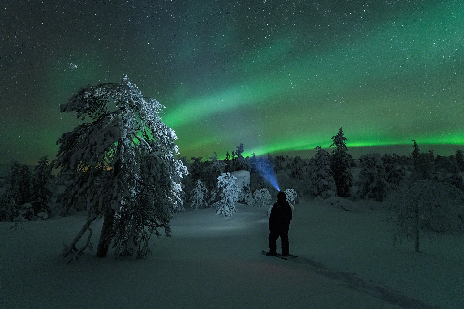 Under the lights / Unter den Lichtern