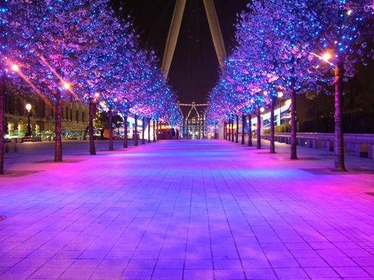 Under the London Eye