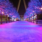 Under the London Eye