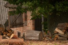 Under The Oak Tree