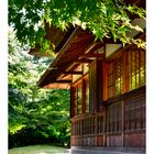 Under the overhang of a Japanese roof