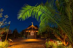 Under the palm leaf