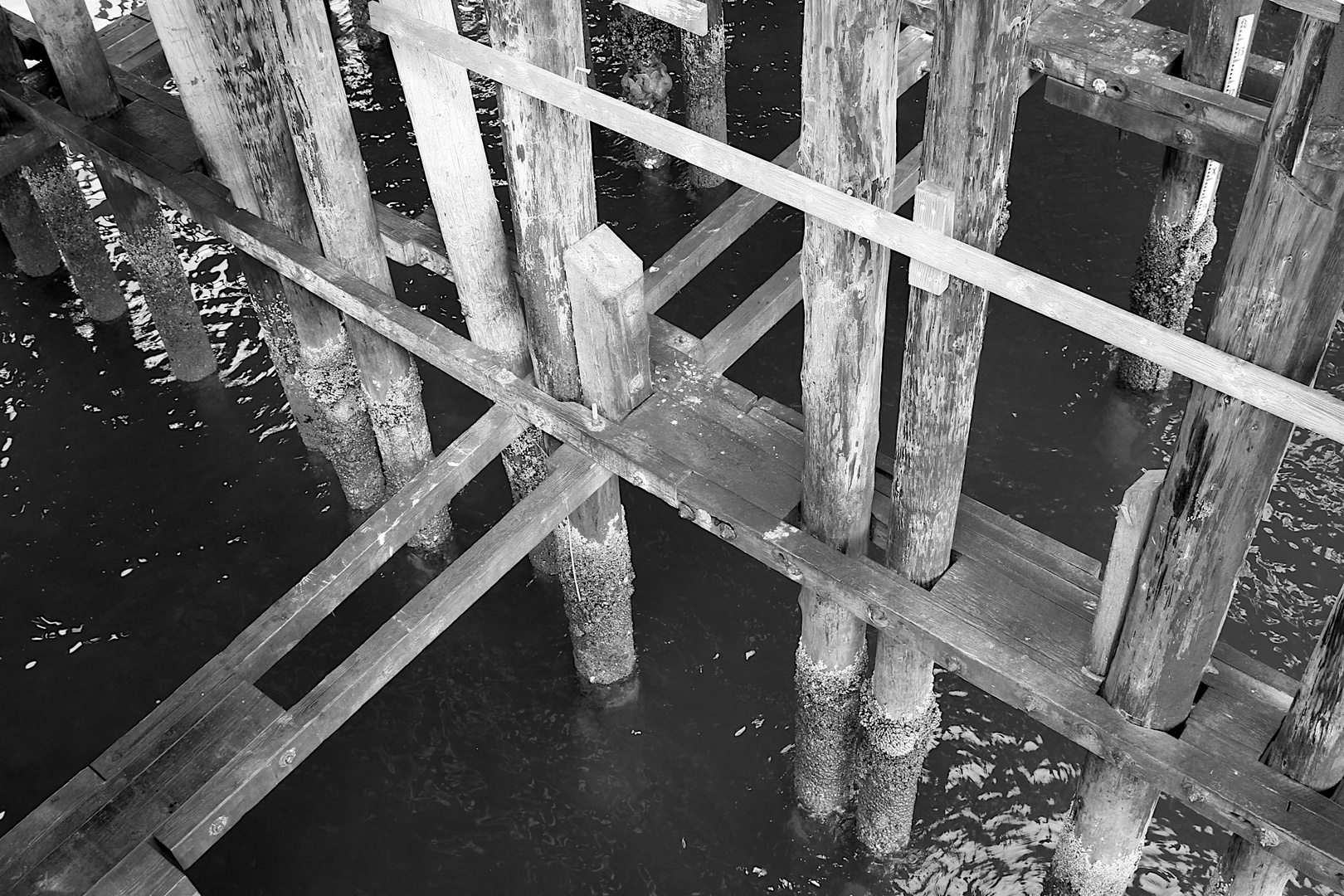 Under the Pier