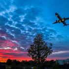 Under the plane