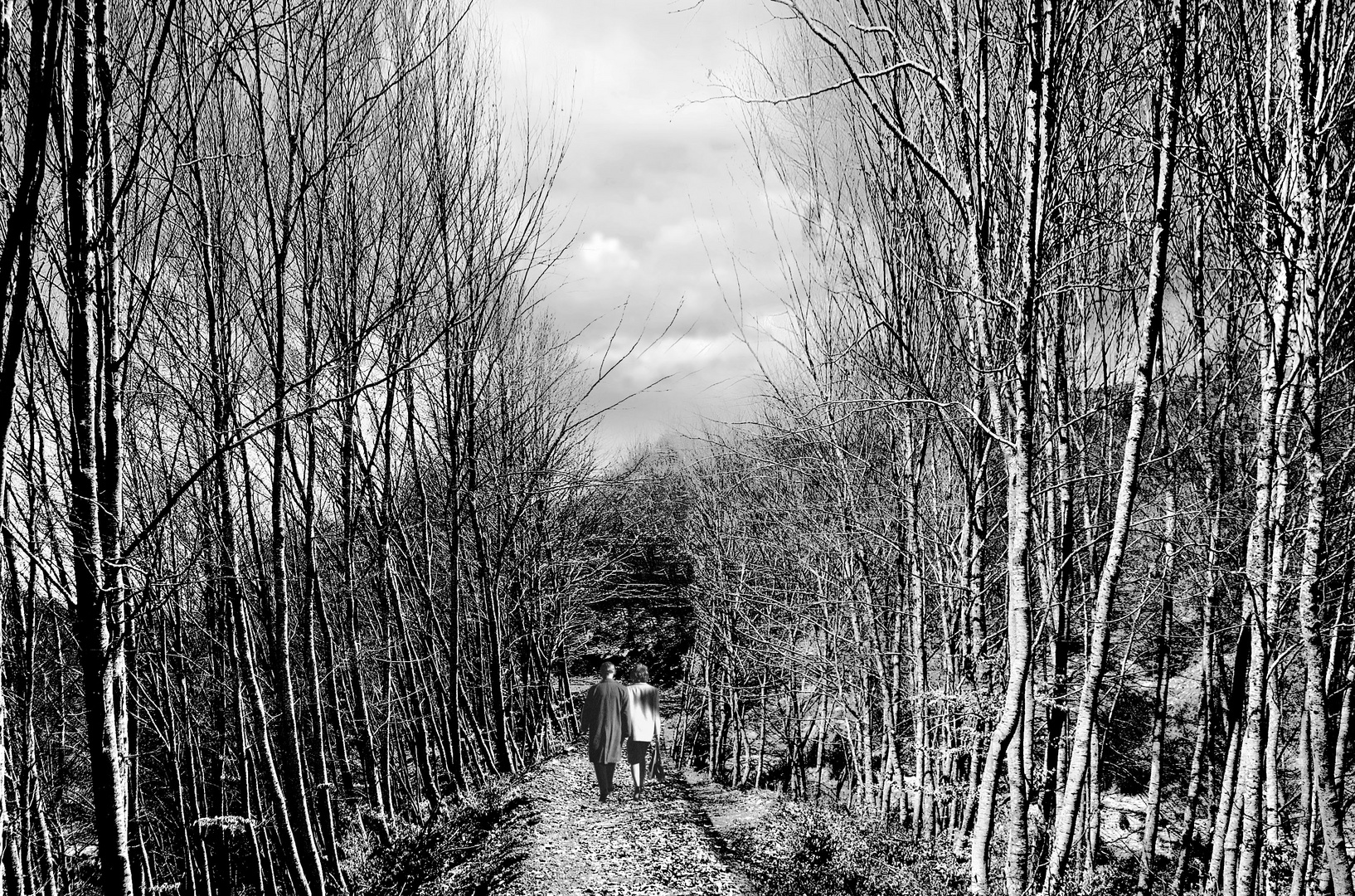 under the poplars