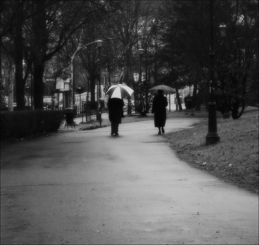 UNDER THE RAIN IN THE PARK