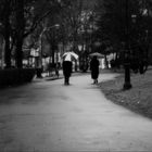 UNDER THE RAIN IN THE PARK