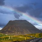 Under the Rainbow