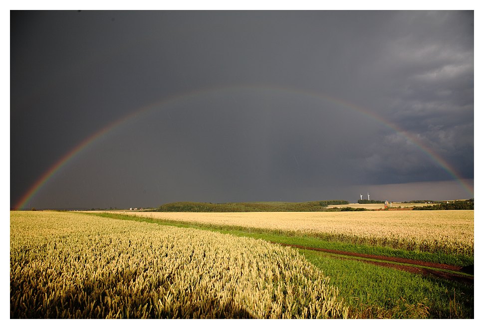 under the rainbow...