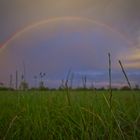 Under the rainbow