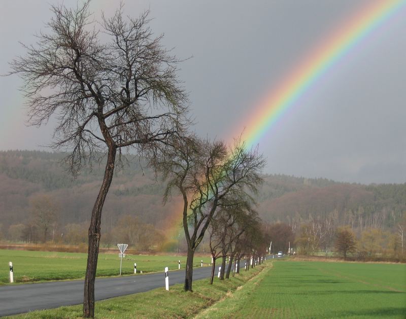 Under the rainbow !