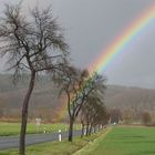 Under the rainbow !