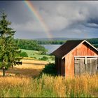 under the rainbow