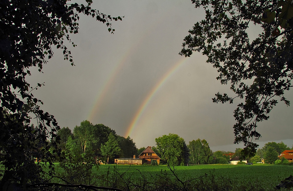 Under the rainbow