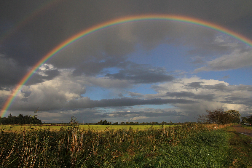 Under the Rainbows